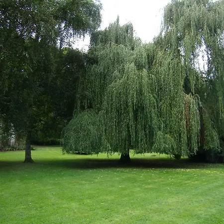 Chateau De Luzigneul Montreuil-lʼArgillé