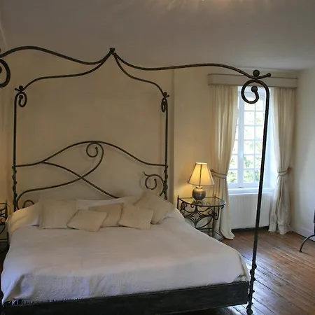 Chateau De Luzigneul * Montreuil-lʼArgillé